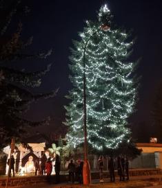 Rozsvícení vánočního stromu